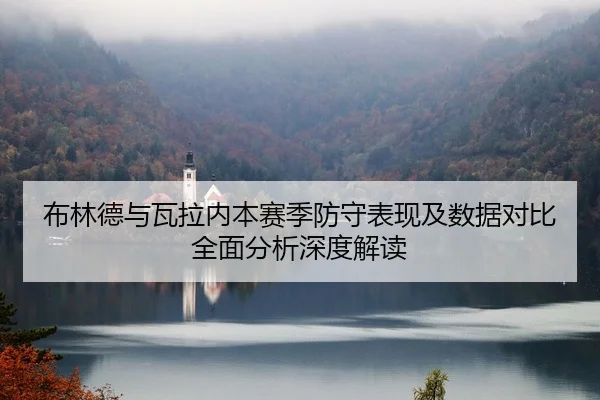 布林德与瓦拉内本赛季防守表现及数据对比全面分析深度解读